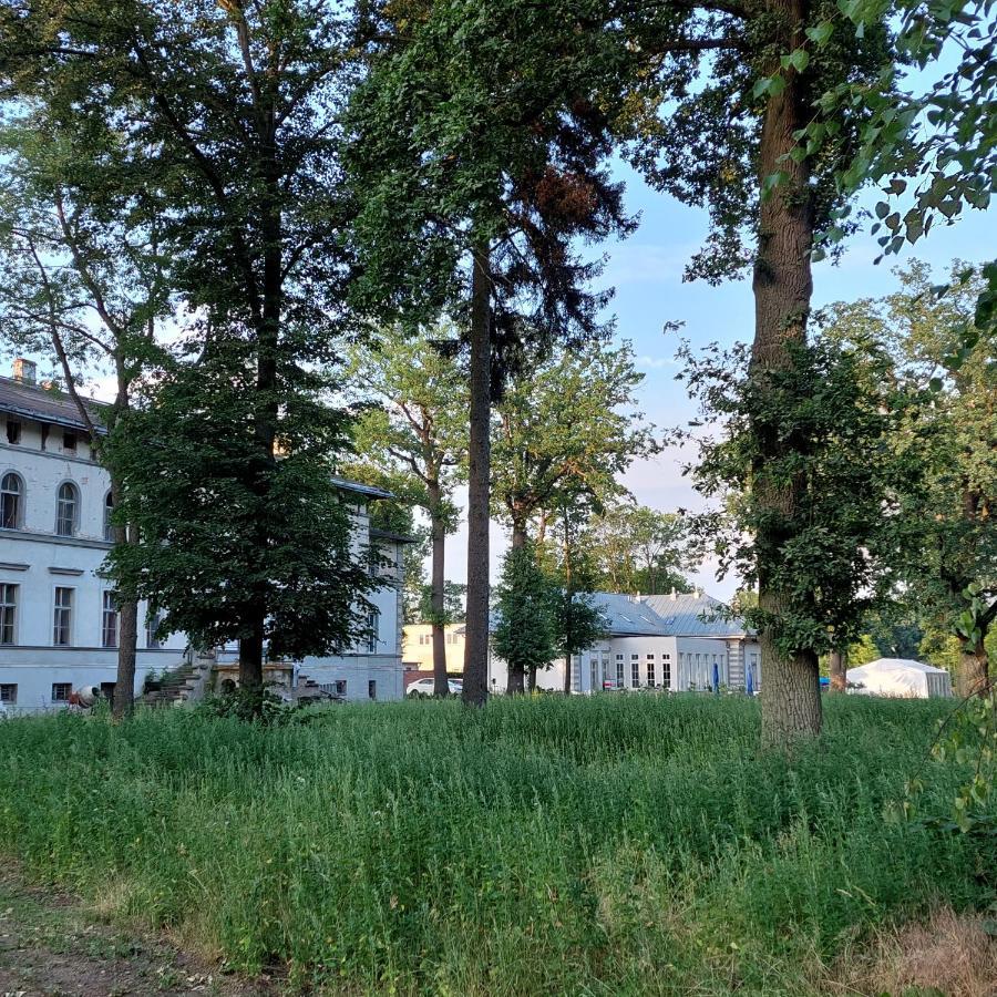 Palac Dabrowka Rawicz Exterior photo
